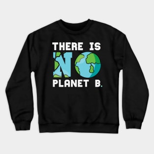 There is No Planet B Earth Climate Change Crewneck Sweatshirt